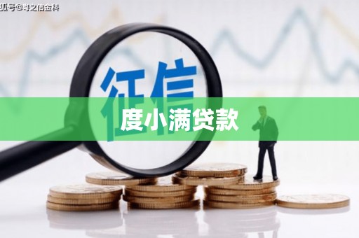 孝南度小满贷款